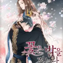 꽃은 밤을 걷는다